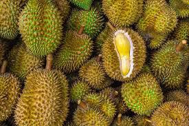 HASIL PANEN BUAH DURIAN PETANI GANANG PUSAKO